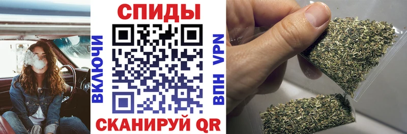 KRAKEN   Чаплыгин  Бутират оксана 