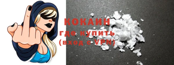 индика Белокуриха