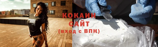 индика Белокуриха