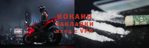 индика Белокуриха