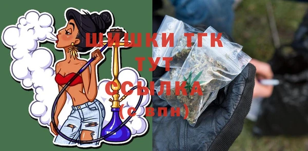 индика Белокуриха