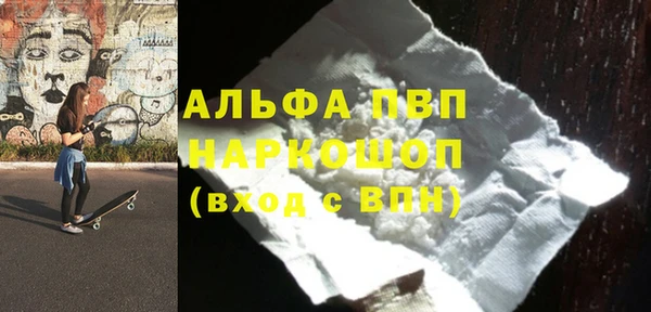 индика Белокуриха