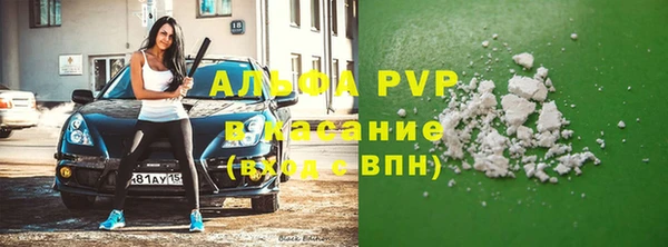 индика Белокуриха