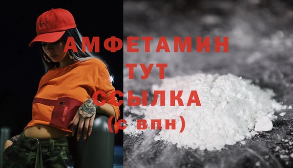индика Белокуриха