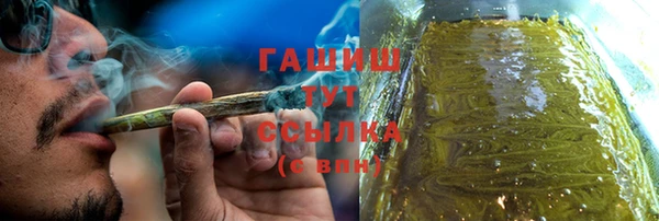 индика Белокуриха